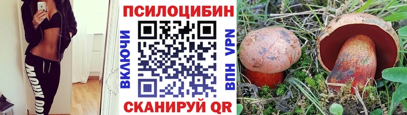 Псилоцибиновые грибы MAGIC MUSHROOMS  купить наркотик  Дегтярск 