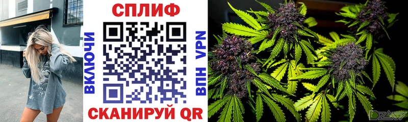 где купить наркоту  Дегтярск  Марихуана Amnesia 